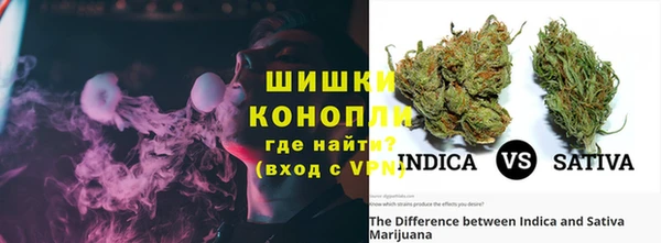 ПСИЛОЦИБИНОВЫЕ ГРИБЫ Бронницы