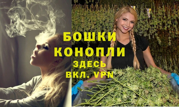 мдпв Бугульма