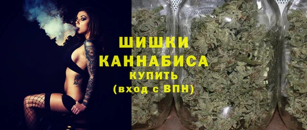 мдпв Бугульма