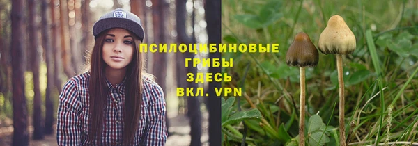 ПСИЛОЦИБИНОВЫЕ ГРИБЫ Бронницы