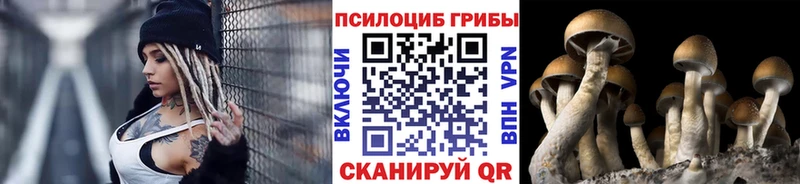 Псилоцибиновые грибы MAGIC MUSHROOMS  Купить  Ухта 
